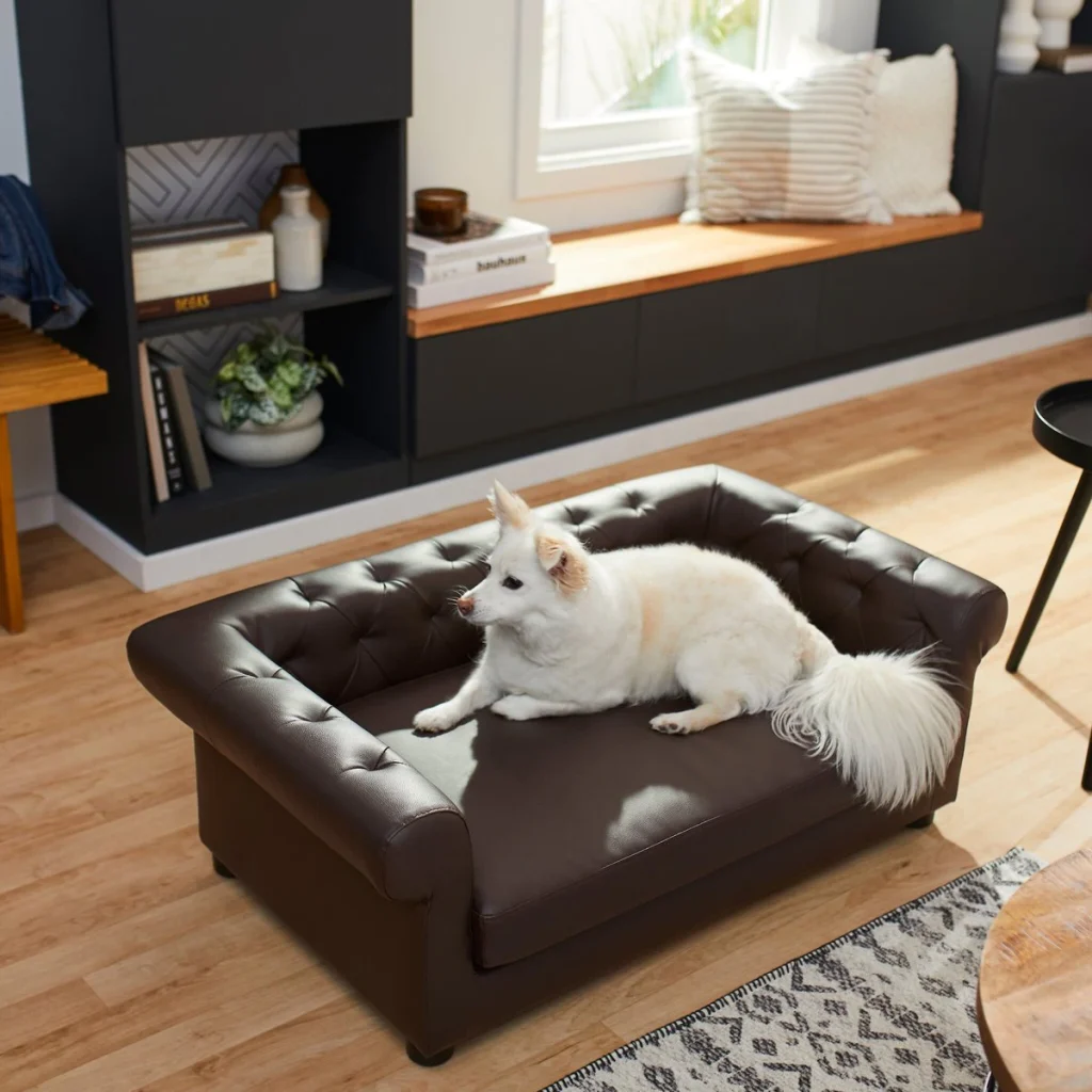 Dog couch bed