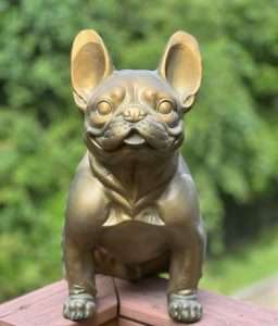 top french bulldog accessories