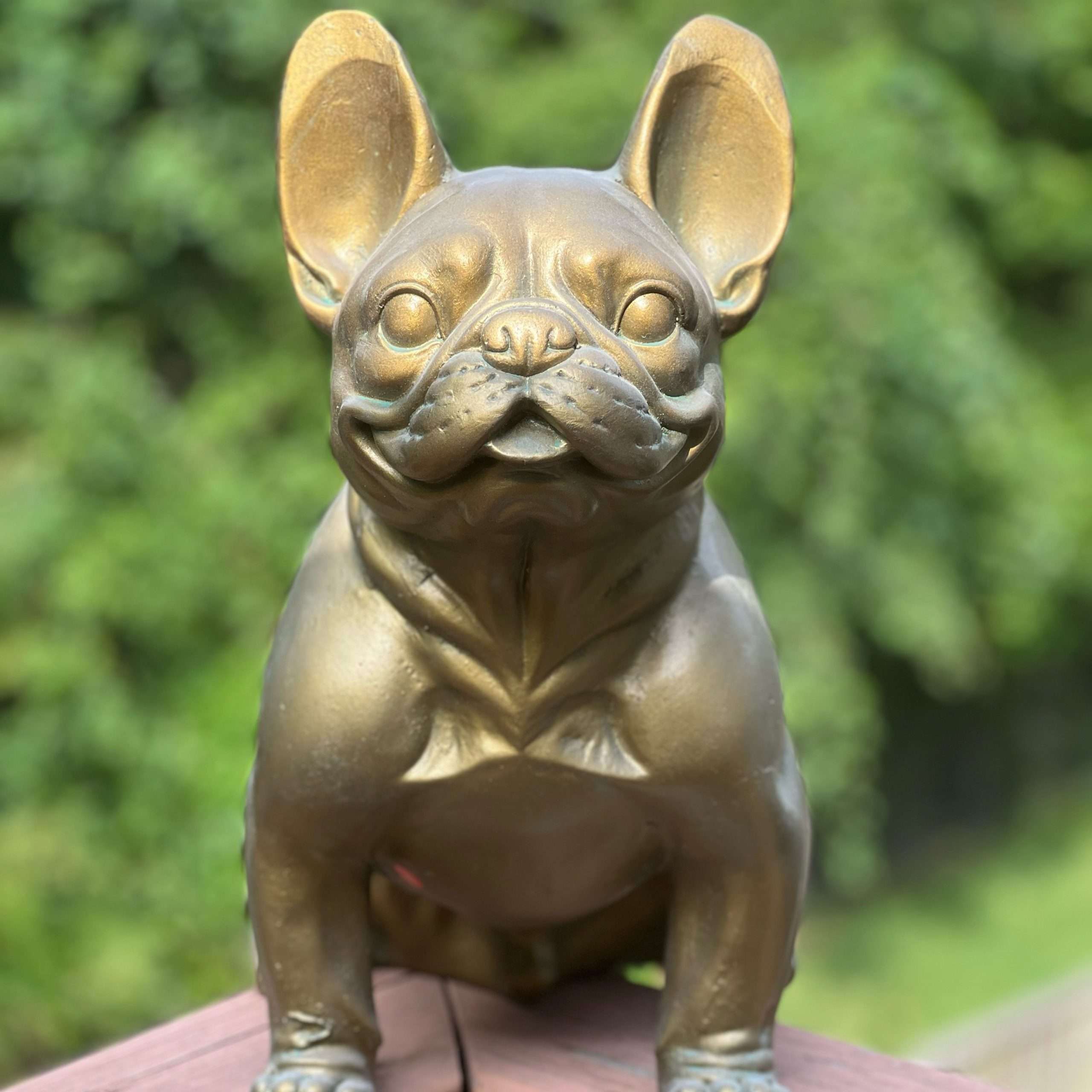 top french bulldog accessories