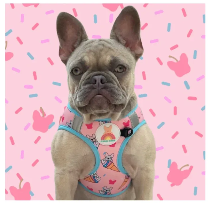 Frenchie Friends Brand Harness