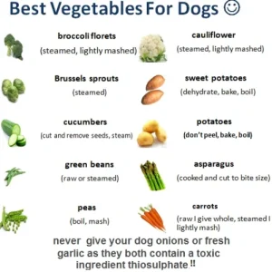what veg can a french bulldog eat?