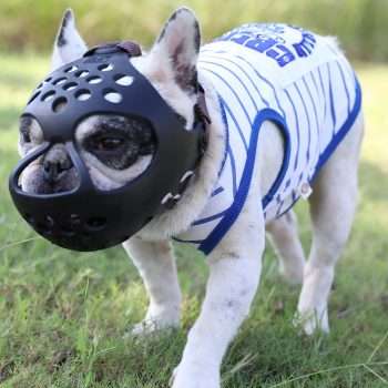 muzzles for french bulldogs