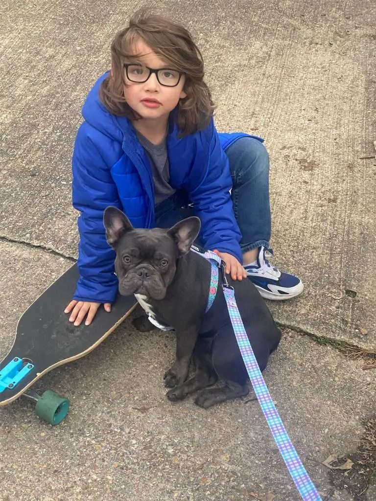 Are french bulldogs good with kids