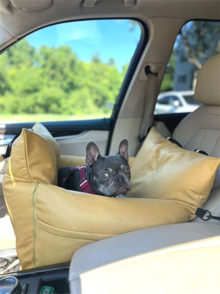 French Bulldog Car seat 