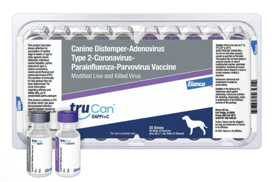Which Dog Vaccines are Absolutely Necessary