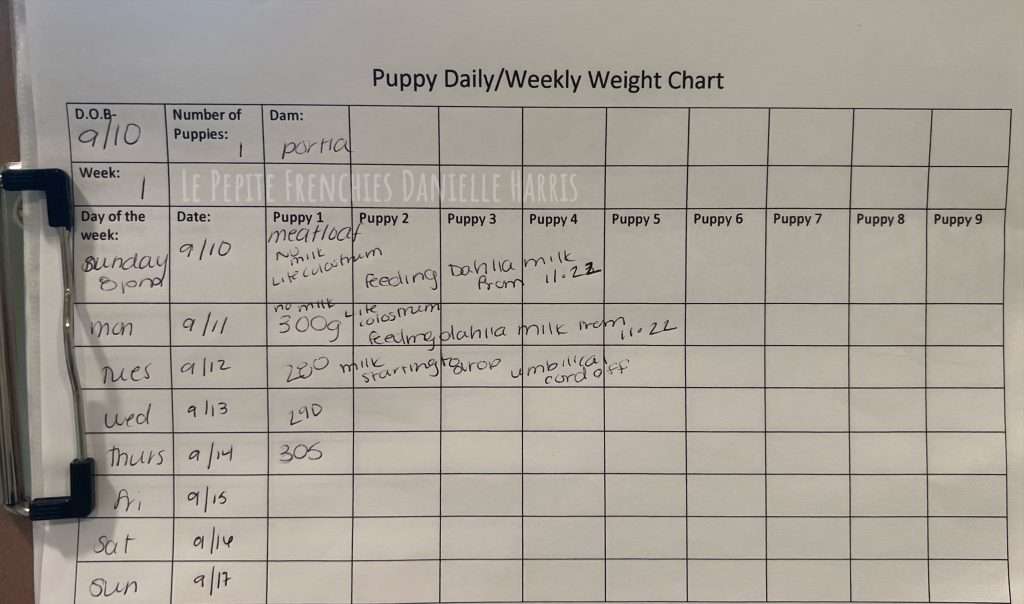 weight chart