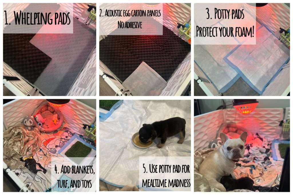 Newborn Puppy Flat Chest Kit