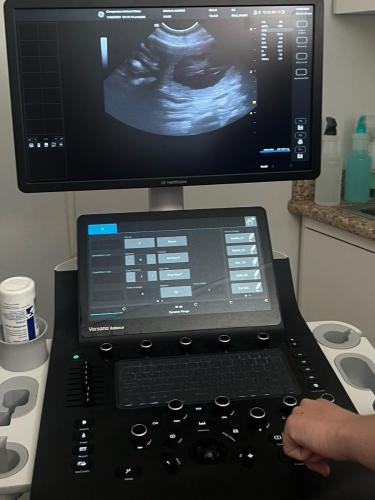 Ultrasound Scan - Dahlia